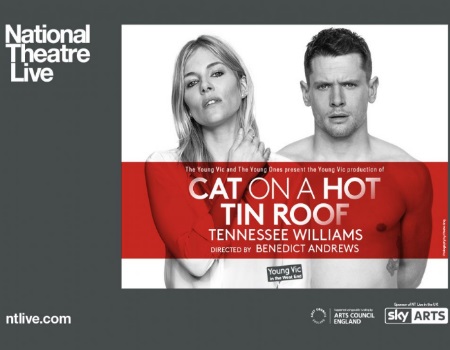 Cat On A Hot Tin Roof