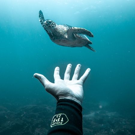 Ocean Film Festival