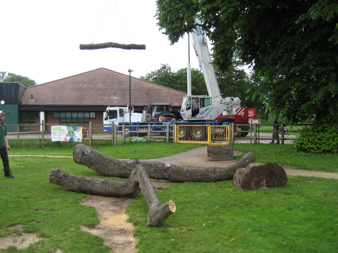 Abbey Fields 001 logs