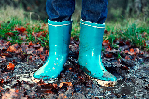 wellies