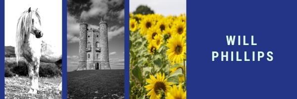 Will phillips shop banner 1