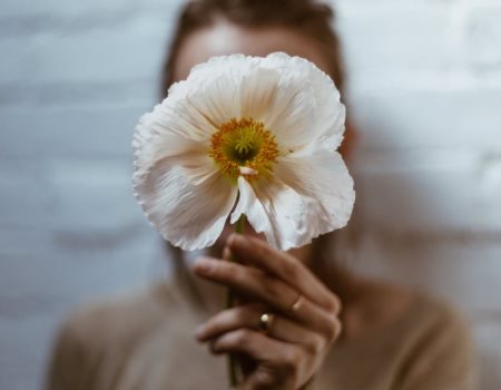 poppy competition